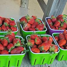 Strawberries - 1 quart