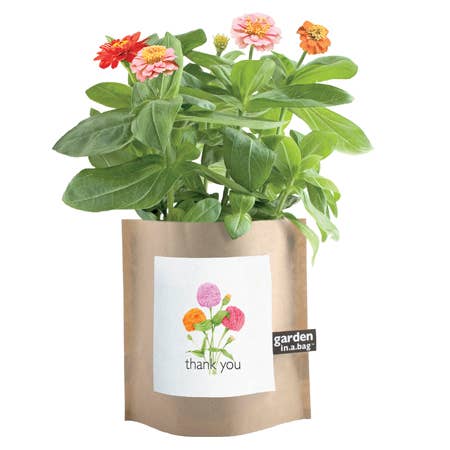 Garden in a Bag - Thank You | Appreciation Gift