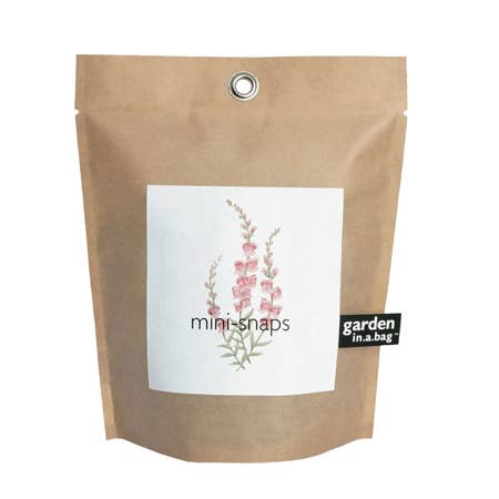 Garden in a Bag - Snapdragon | Flower Gift