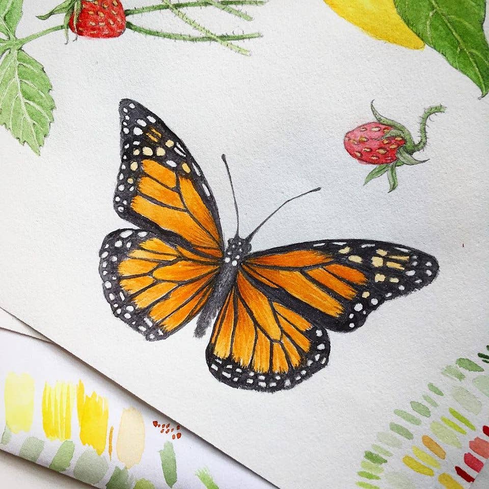 Garden Sprinkles | Butterfly Habitat Flower Garden