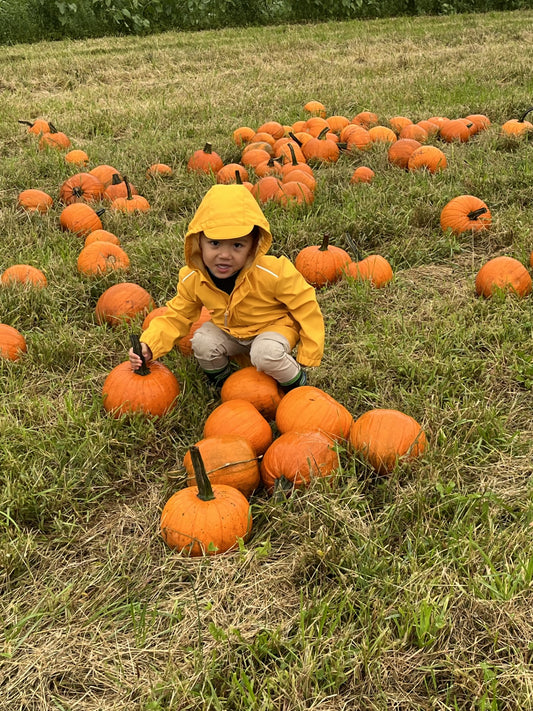 Fall Harvest Outing (Pre-K*)
