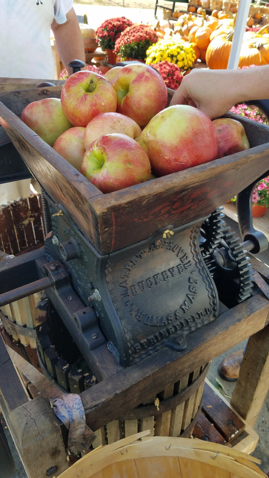 Add-On: Colonial Apple History (30 min)