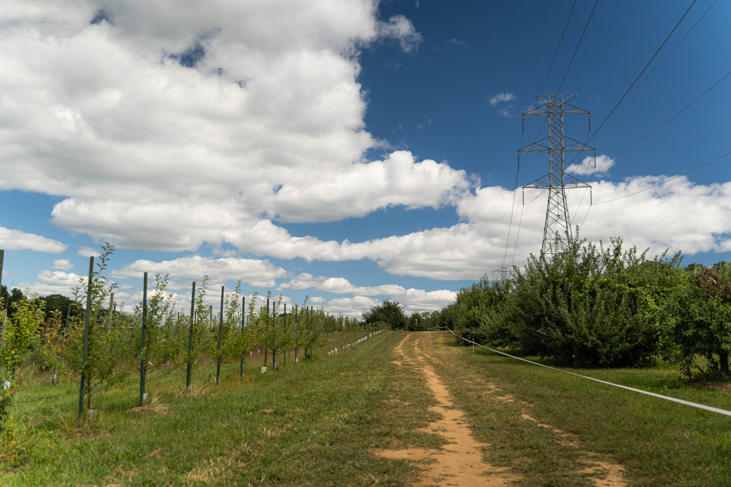 Private Farm Tour