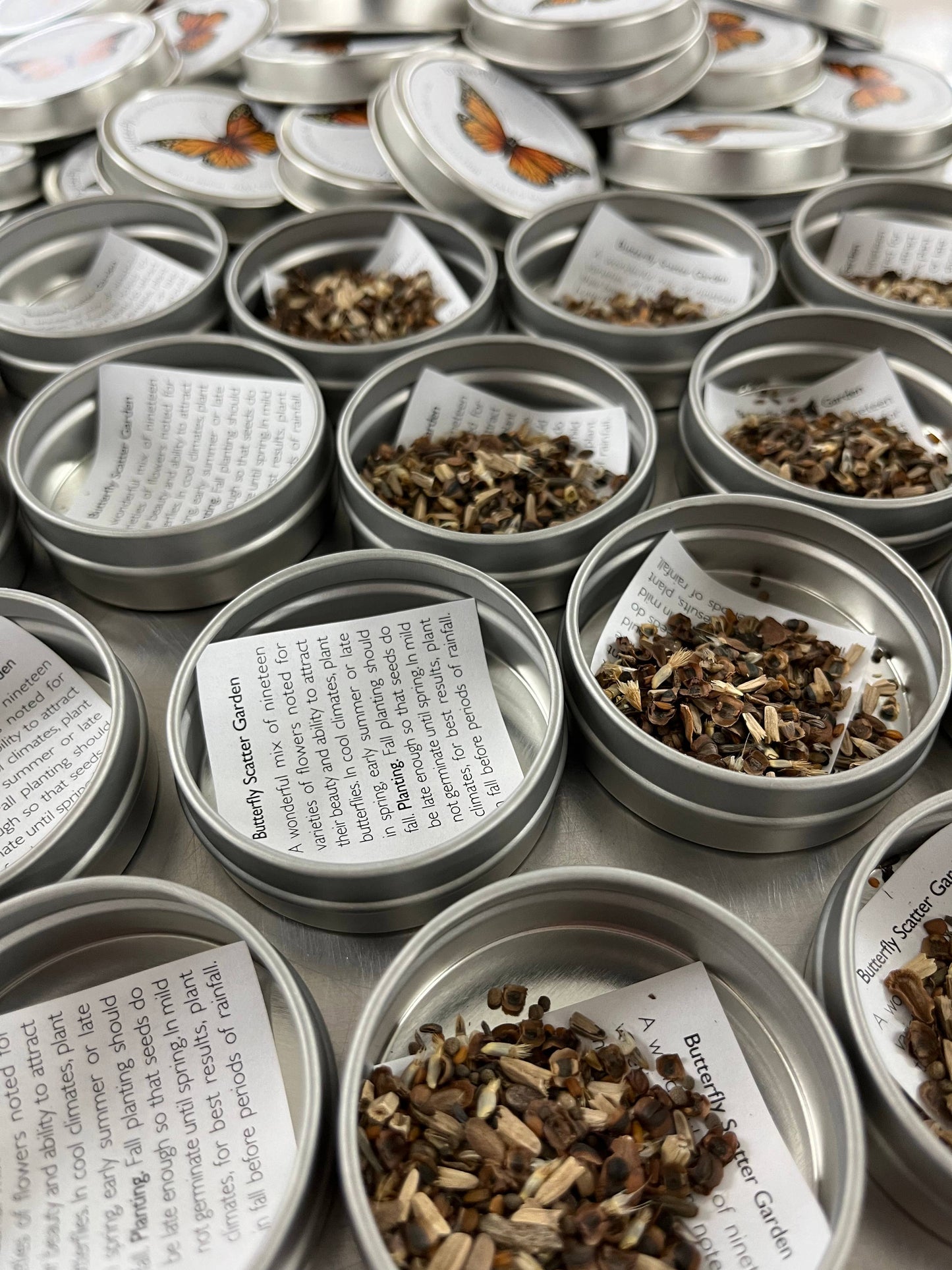 Garden Sprinkles | Lavender