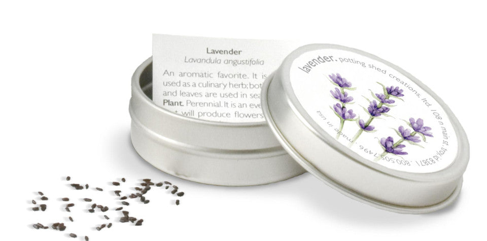 Garden Sprinkles | Lavender
