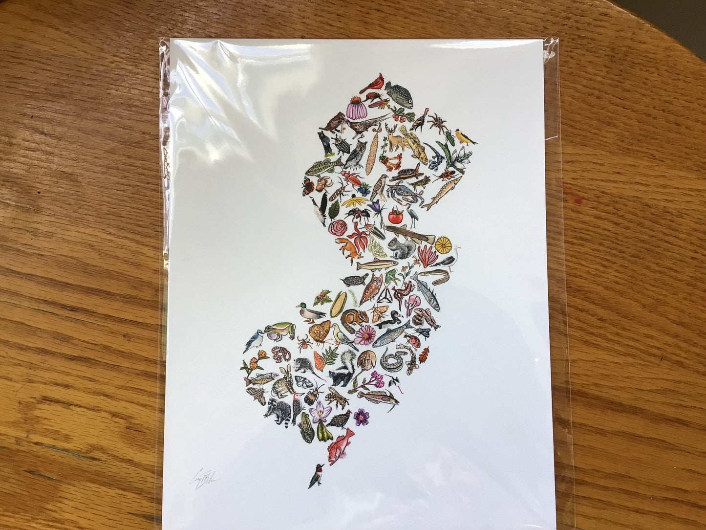 NJ Natives Print