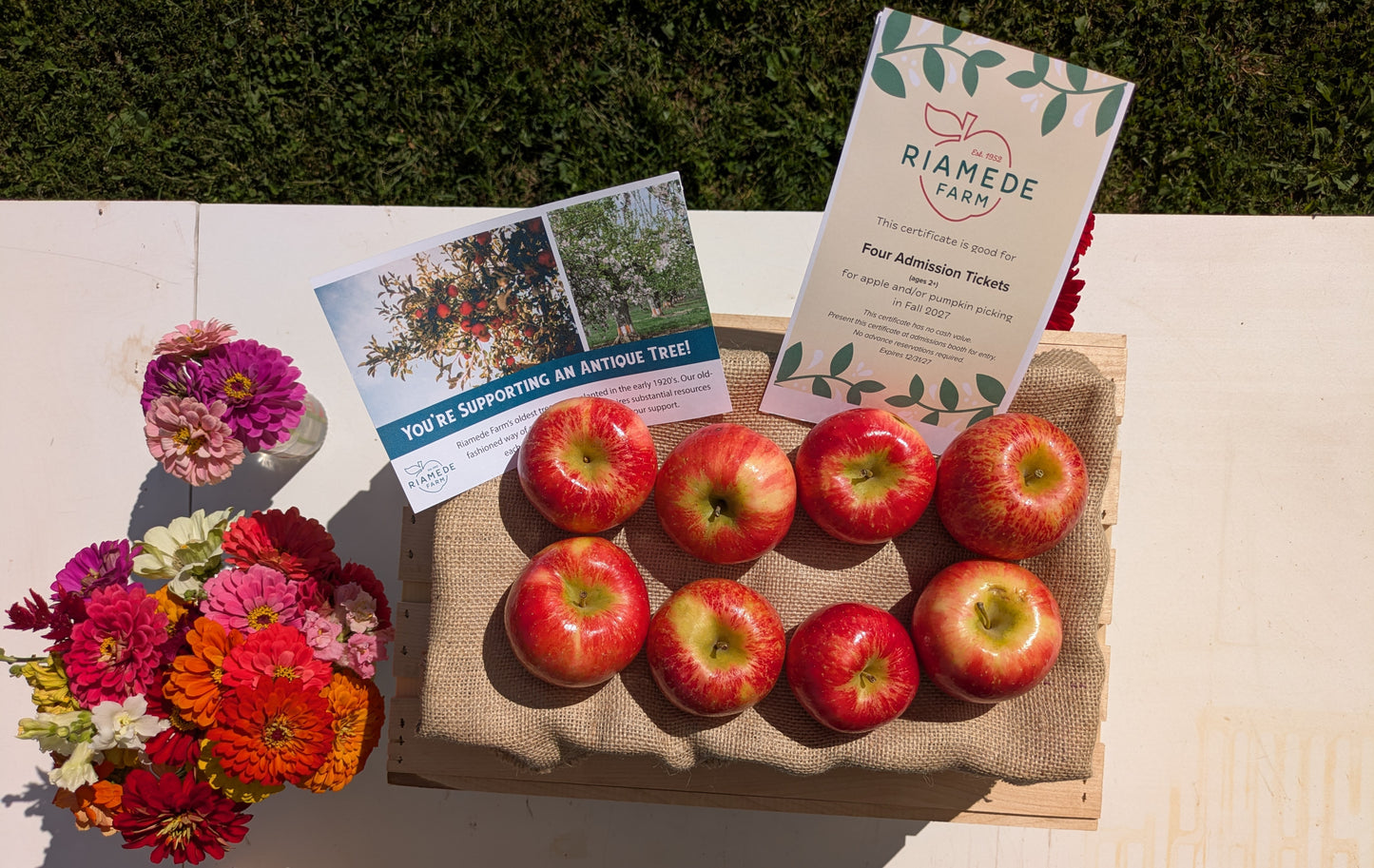 Riamede Apple Tree Legacy Box