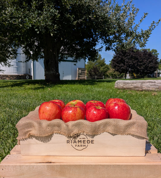Riamede Farm Harvest Box