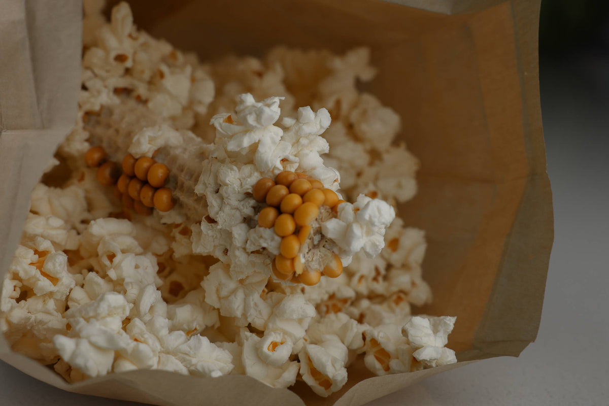 Yellow Popcorn Microwave Cobs