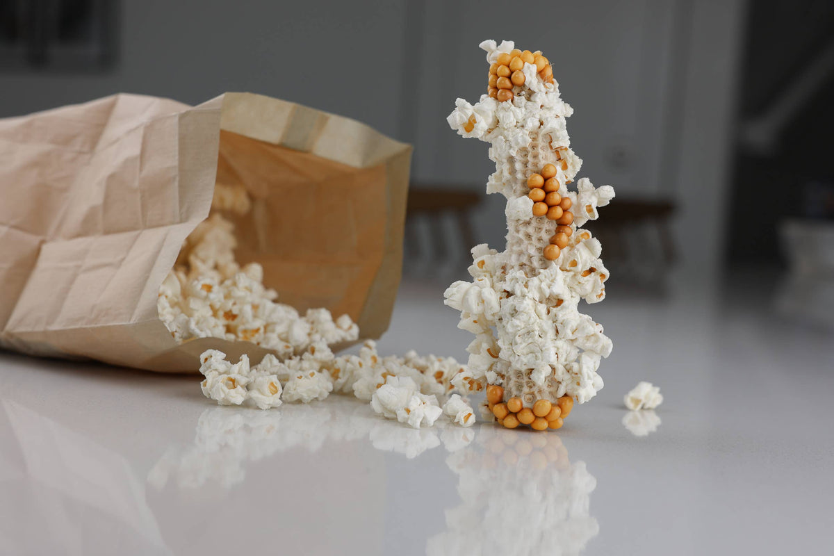 Yellow Popcorn Microwave Cobs